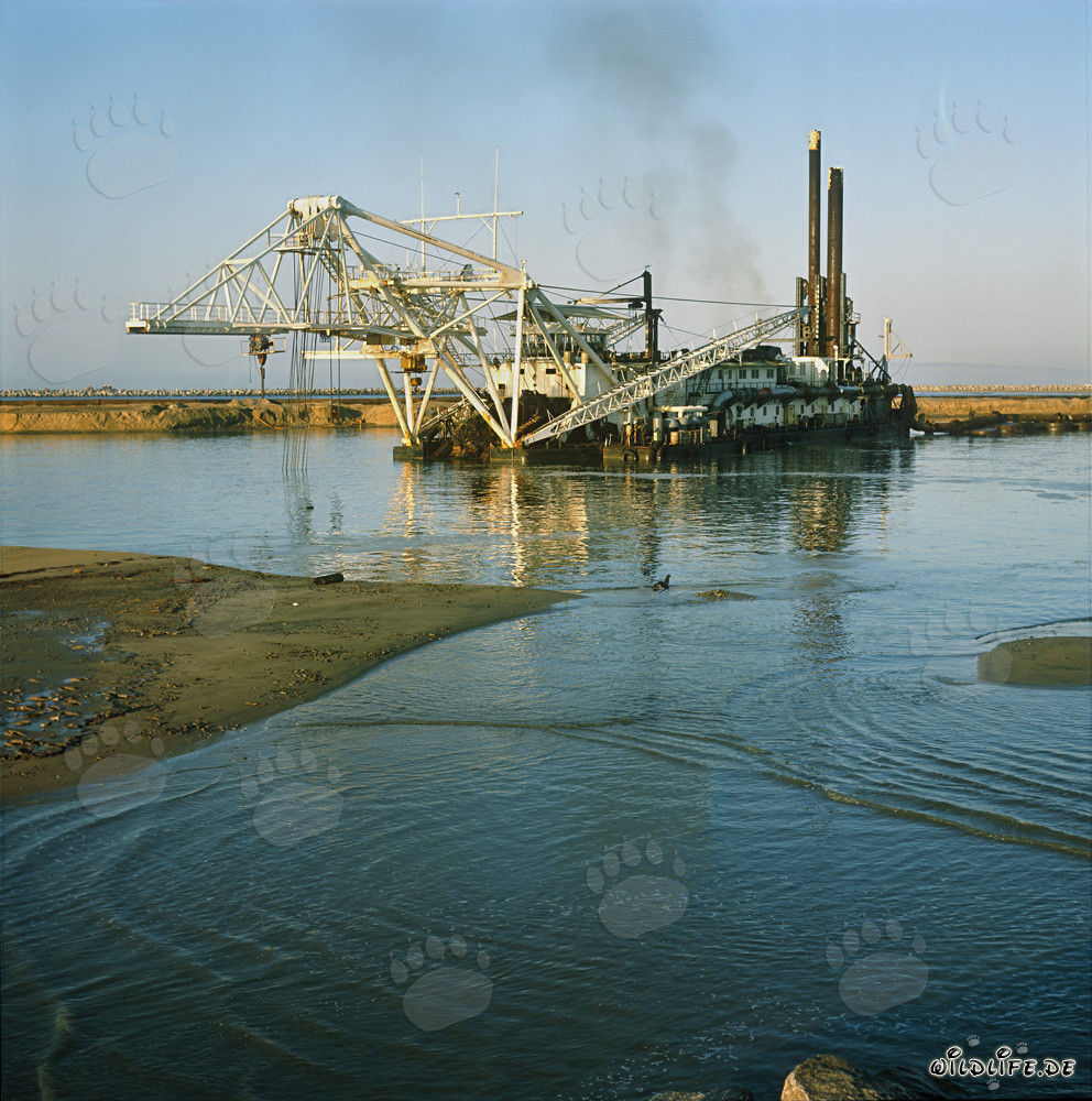 Majestic Cutter Suction Dredger Beverwijk 31 in Richards Bay Harbour