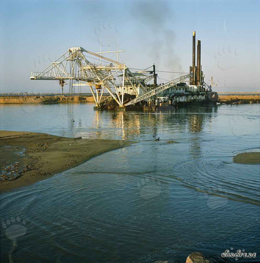 Majestuoso draga de cabeza de corte Beverwijk 31 en el puerto de Richards Bay