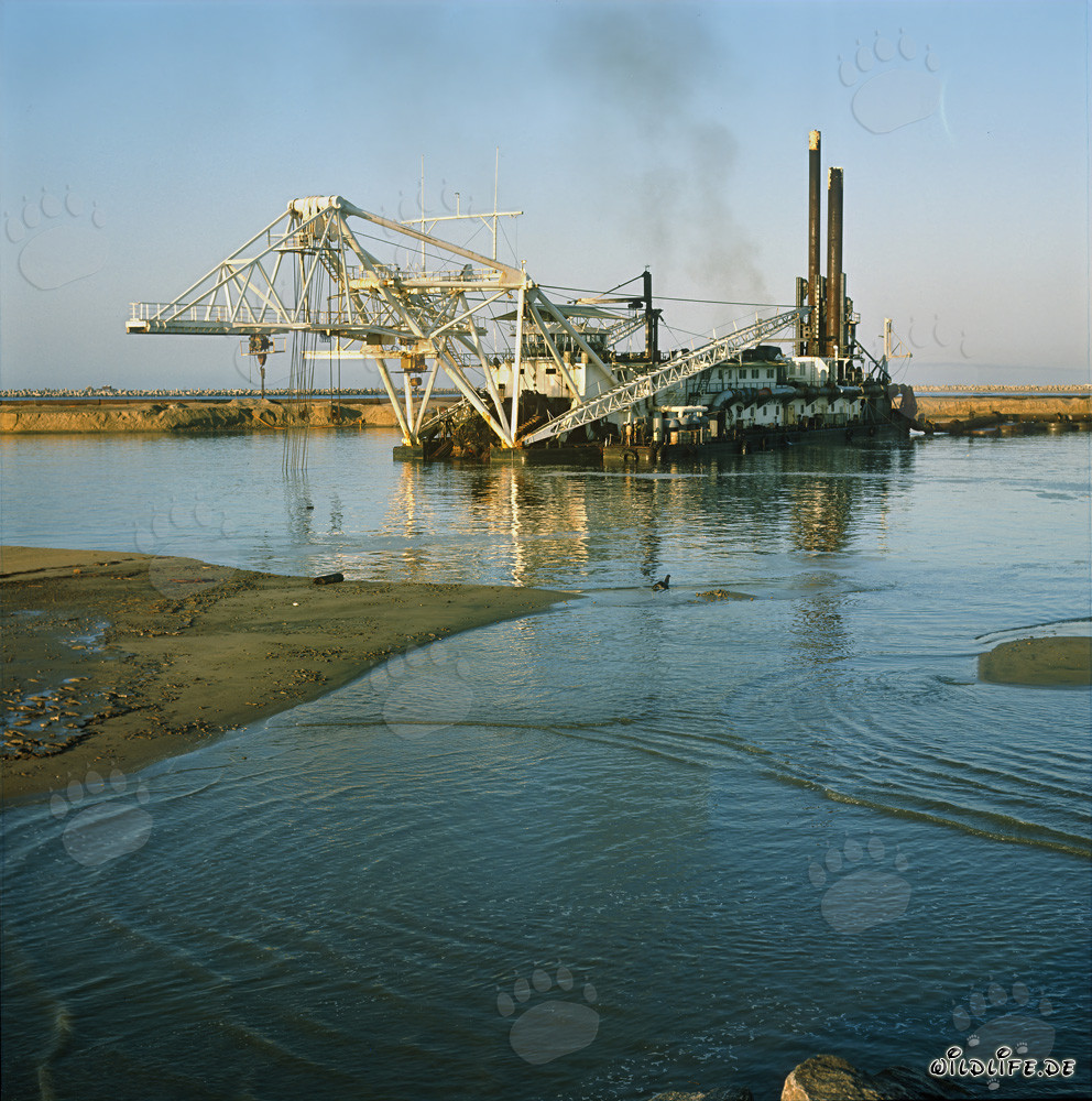 Majestätischer Schneidkopfspuelbagger Beverwijk 31 in Richards Bay Hafen