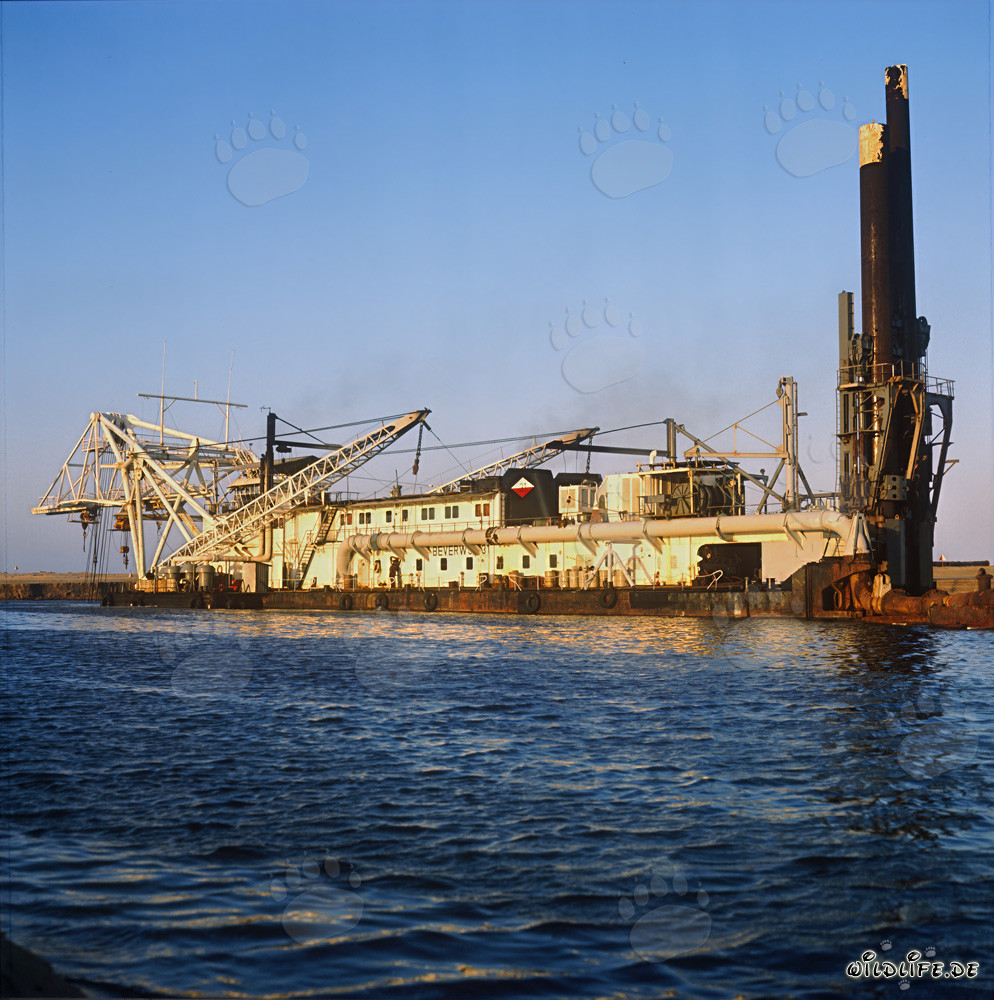 Cutter Suction Dredger Beverwijk 31 in Richards Bay Harbour, South Africa