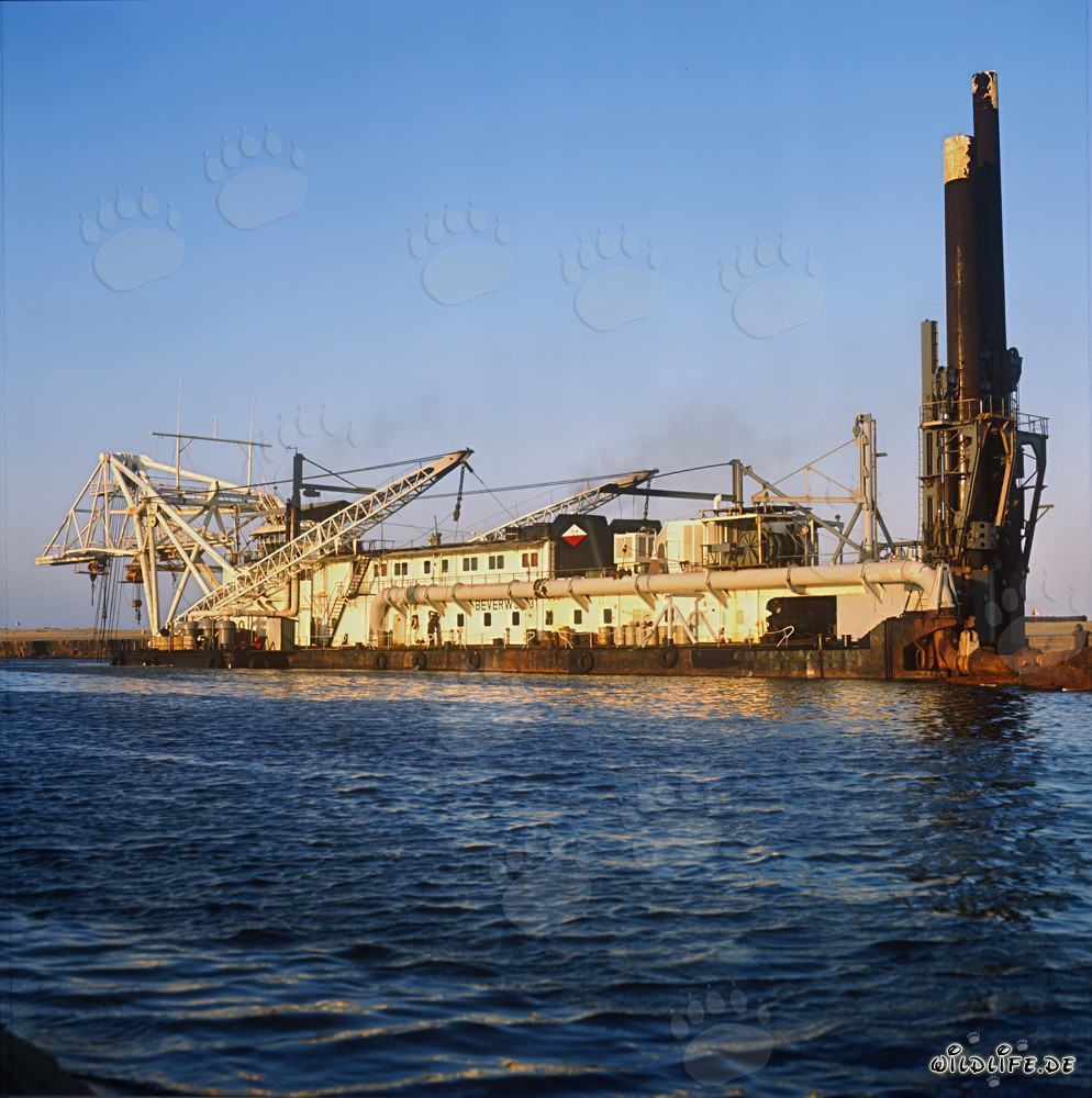 Schneidkopfspuelbagger Beverwijk 31 im Hafen Richards Bay, Südafrika