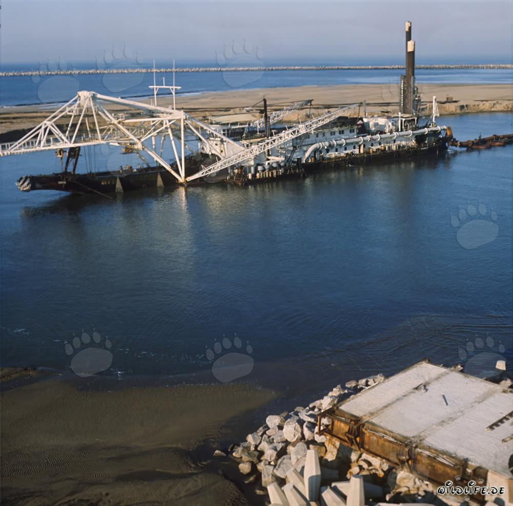 Draga aspirante con testa di taglio Beverwijk 31 nel porto di Richards Bay, Sudafrica