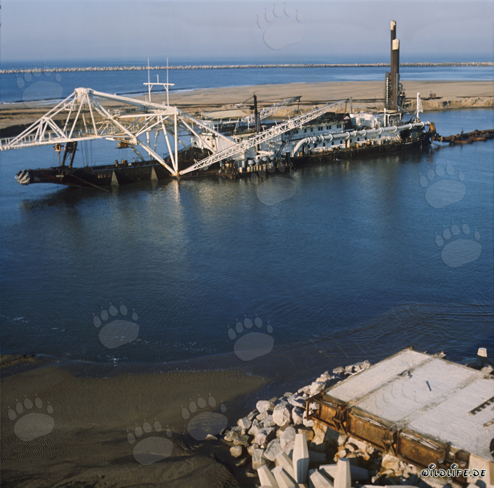 Drague suceuse à tête de coupe Beverwijk 31 dans le port de Richards Bay, Afrique du Sud