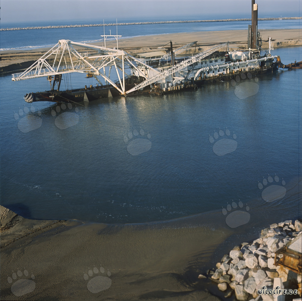 Drague suceuse à tête de coupe Beverwijk 31 au port de Richards Bay, Afrique du Sud