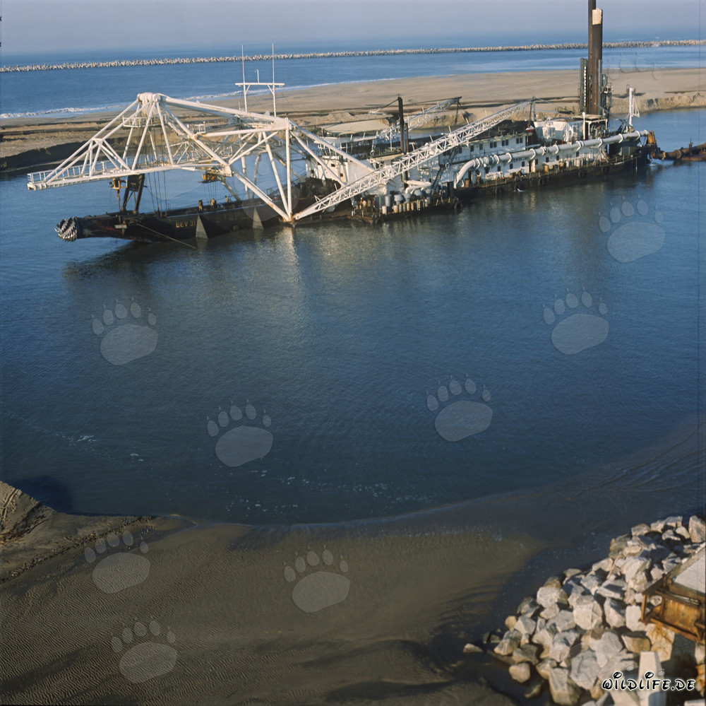 Schneidkopfspuelbagger Beverwijk 31 in Richards Bay Hafen, Südafrika