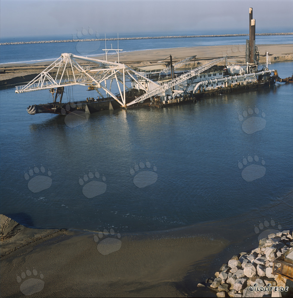 Drague suceuse à tête de coupe Beverwijk 31 dans le port de Richards Bay, Afrique du Sud