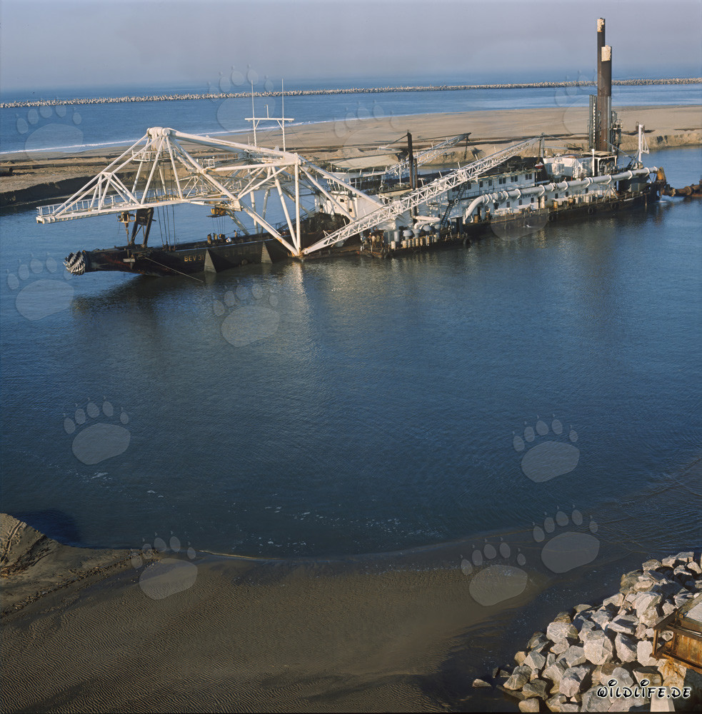 Schneidkopfspülbagger Beverwijk 31 im Hafen Richards Bay, Südafrika