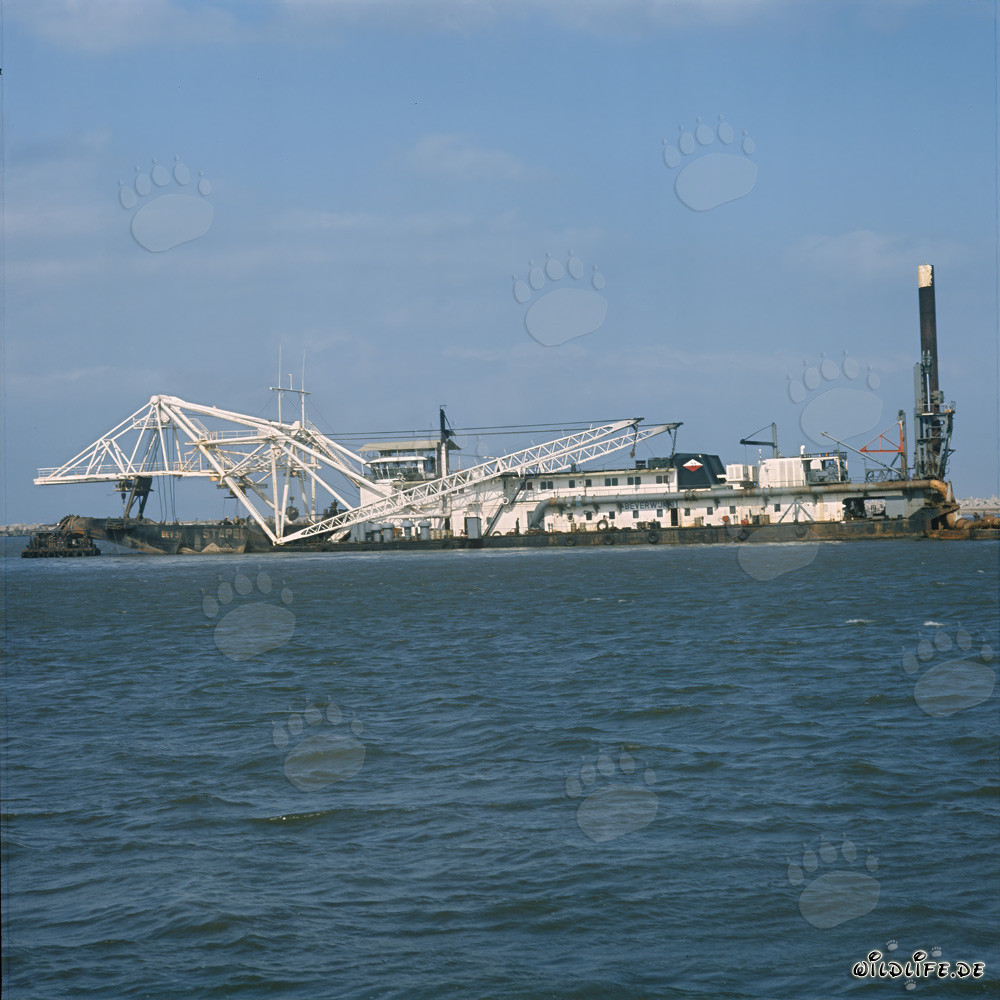 Drague suceuse à tête de coupe Beverwijk 31 lors de l'agrandissement du port de Richards Bay, Afrique du Sud