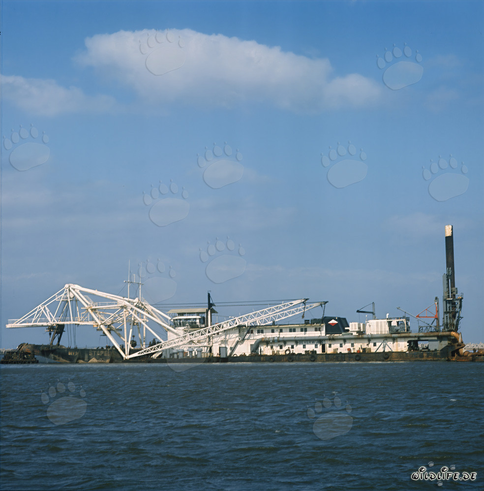 Baggerarbeiten im Hafen Richards Bay