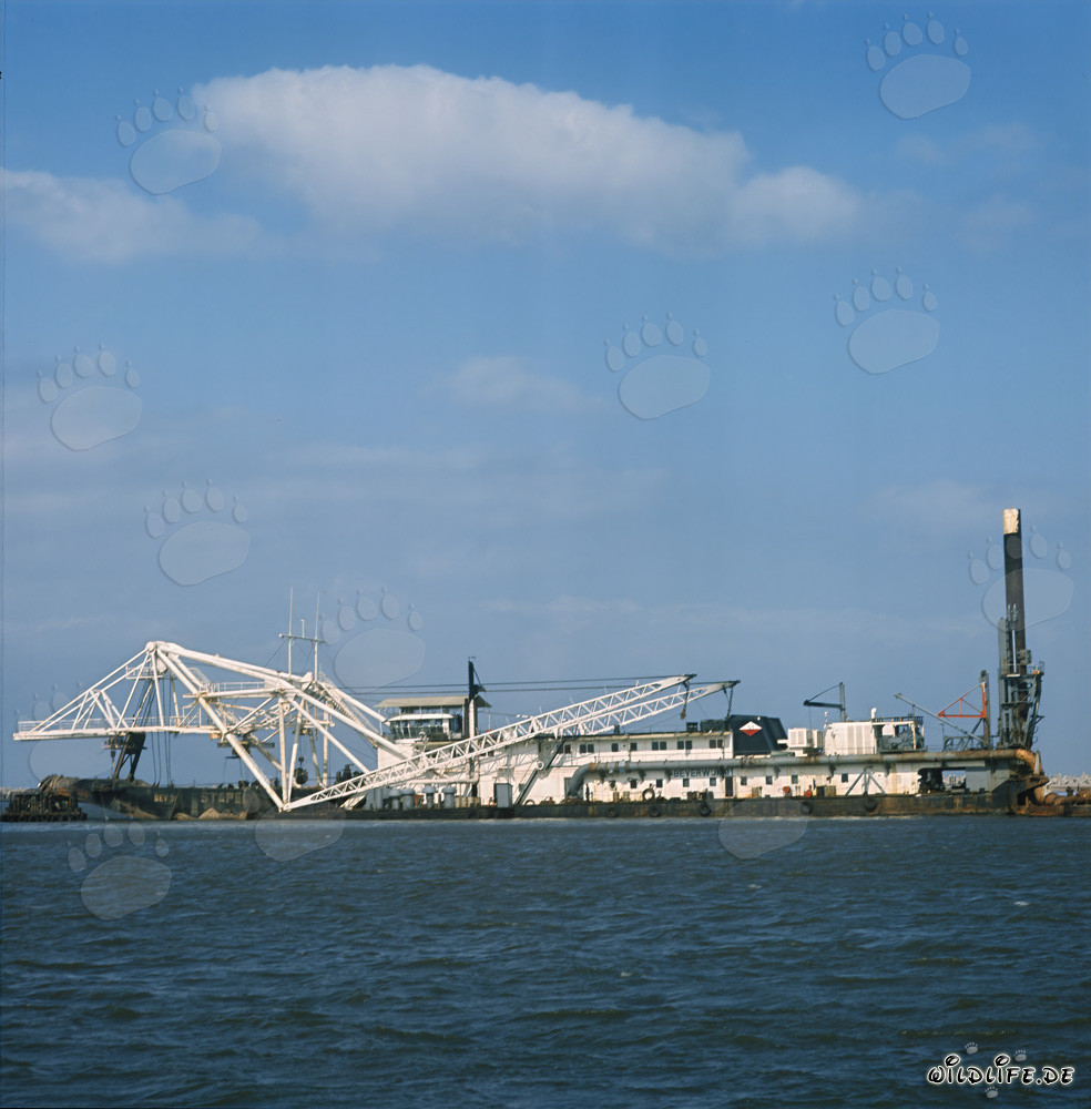Dredging Operations in Richards Bay Harbour