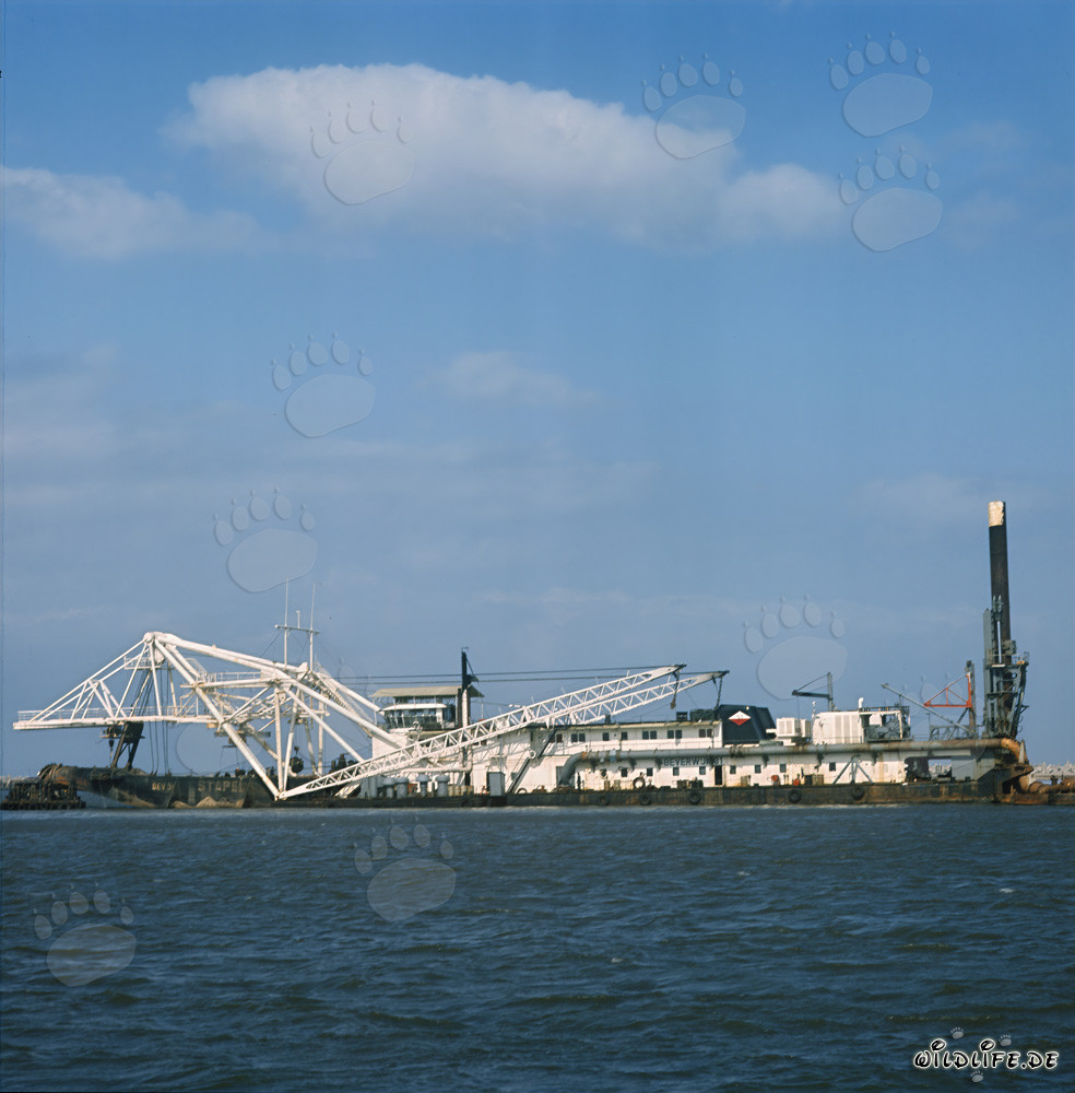 Lavori di scavo nel porto di Richards Bay