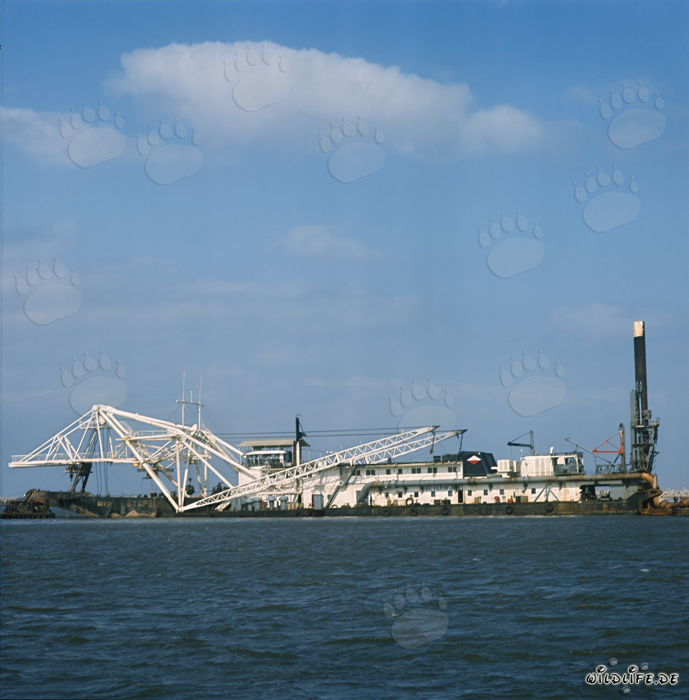 Travaux de dragage dans le port de Richards Bay