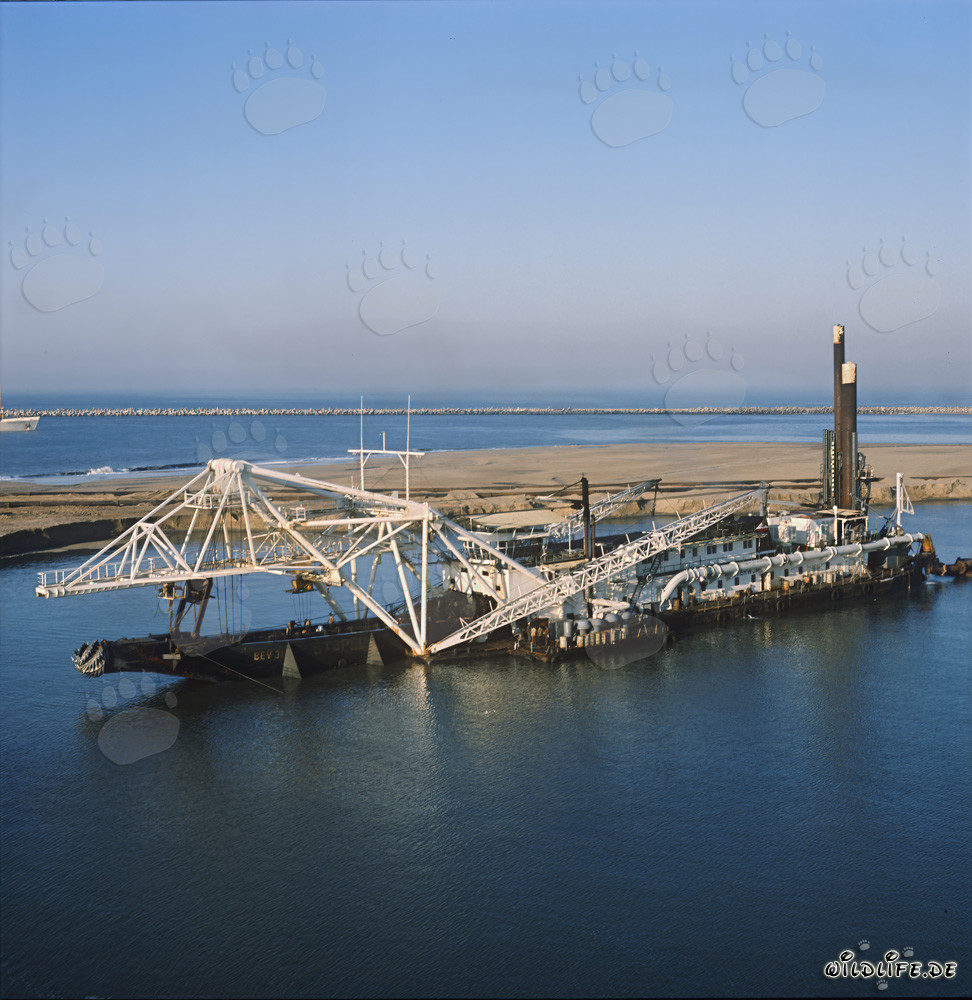 Impressionante draga a taglio testa Beverwijk 31 nel porto di Richards Bay, Sudafrica