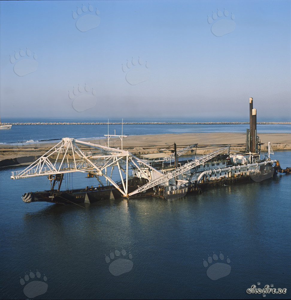 Imposanter Schneidkopfspülbagger Beverwijk 31 in Richards Bay Hafen, Südafrika