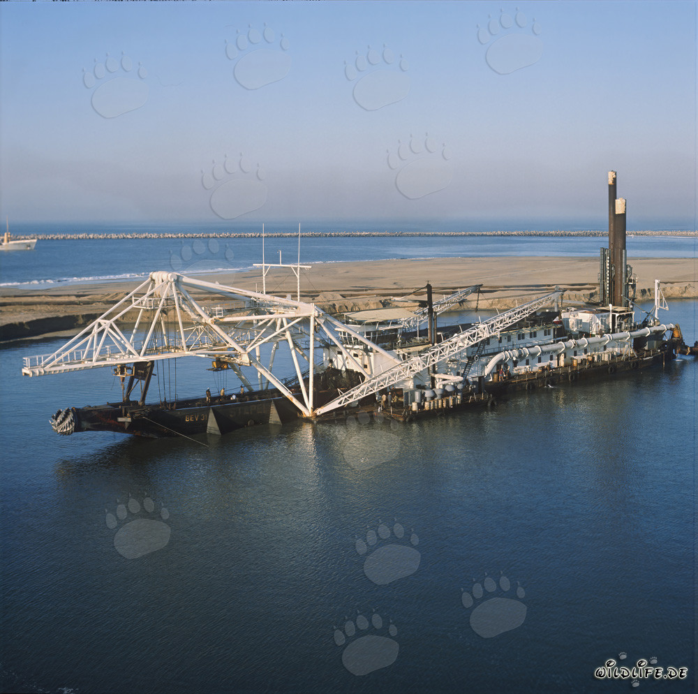 Draga aspirante con testa di taglio Beverwijk 31 nel porto di Richards Bay, Natal, Sudafrica