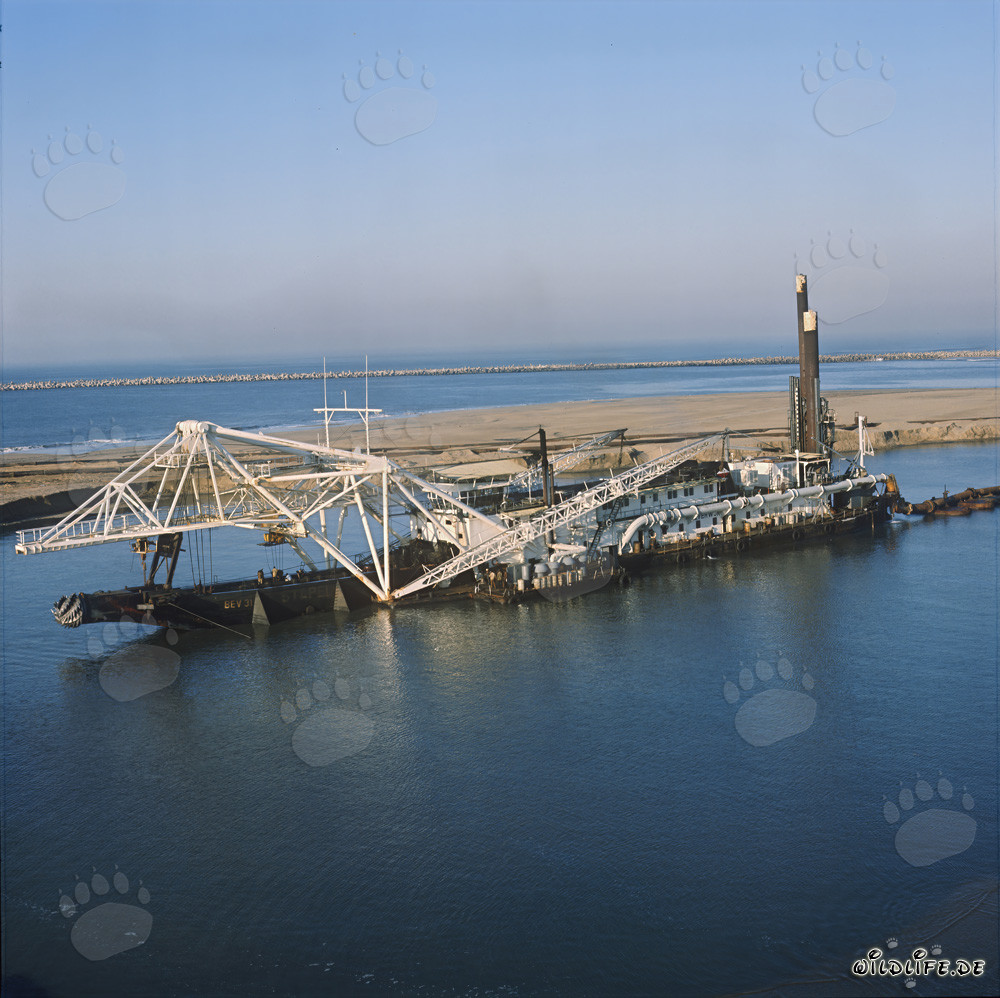 Draga succhiante con testa di taglio Beverwijk 31 nel porto di Richards Bay, Natal, Sudafrica