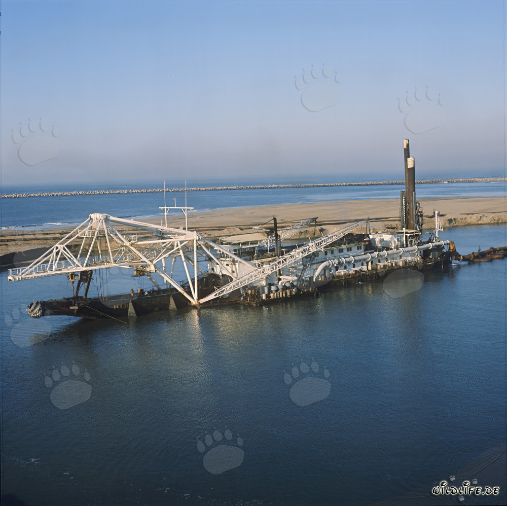 Draga succión con cabezal de corte Beverwijk 31 en el puerto de Richards Bay, Natal, Sudáfrica