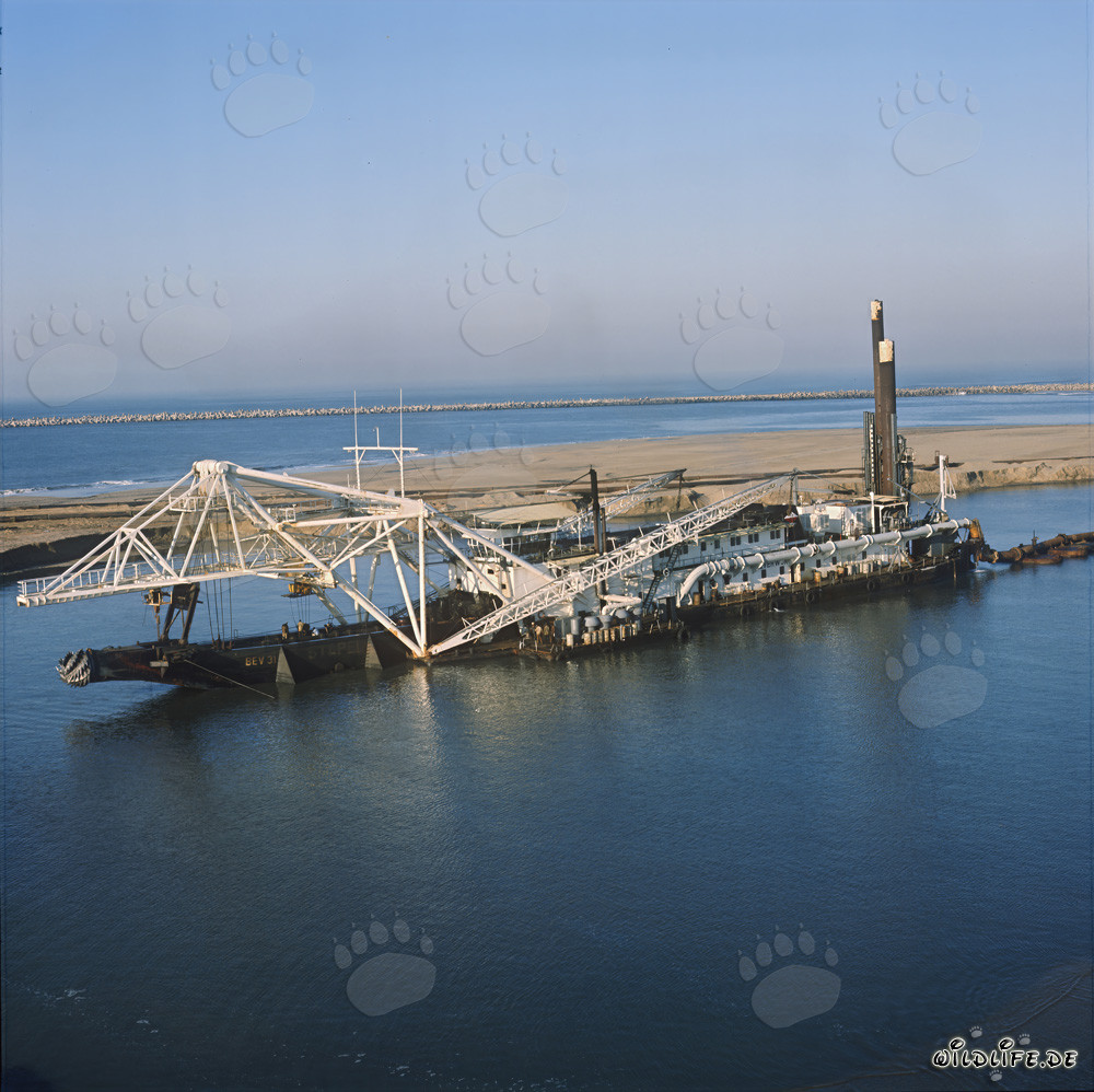 Drague suceuse à tête de coupe Beverwijk 31 dans le port de Richards Bay, Natal, Afrique du Sud
