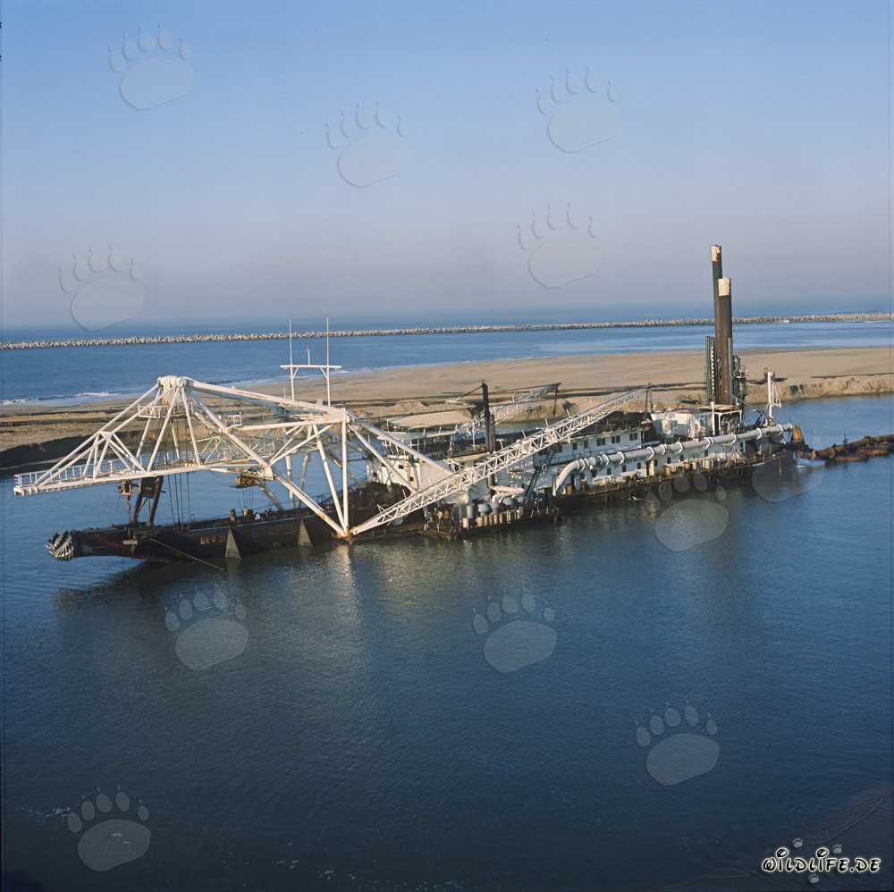 Schneidkopfspuelbagger Beverwijk 31 in Richards Bay Hafen, Natal, Südafrika