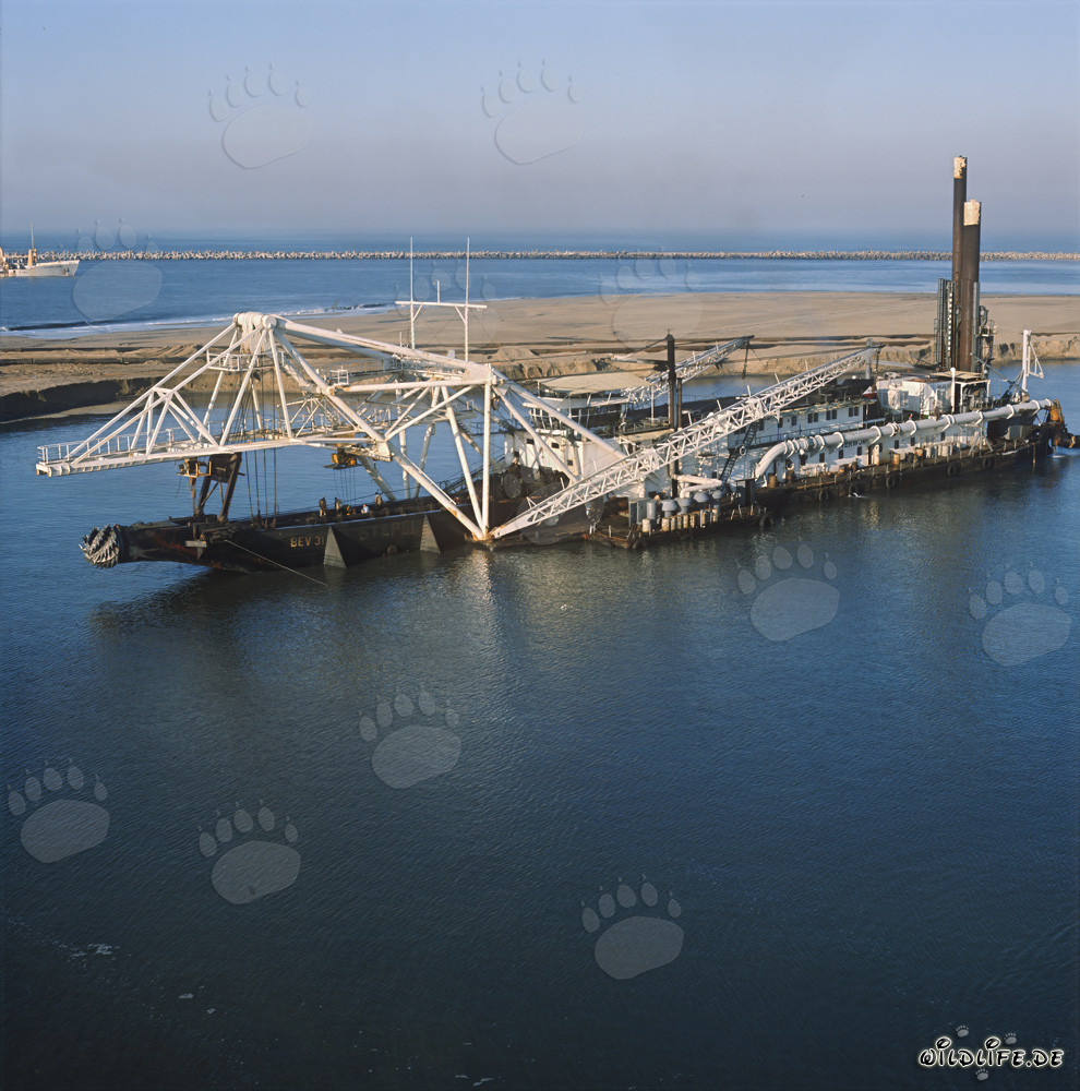Baggerarbeiten am Hafen Richards Bay - Cutter Head Spülbagger Beverwijk 31