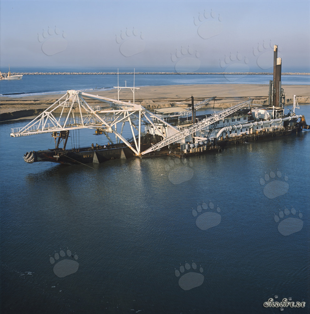 Trabajos de excavación en el puerto de Richards Bay - Draga de cabeza cortadora Beverwijk 31