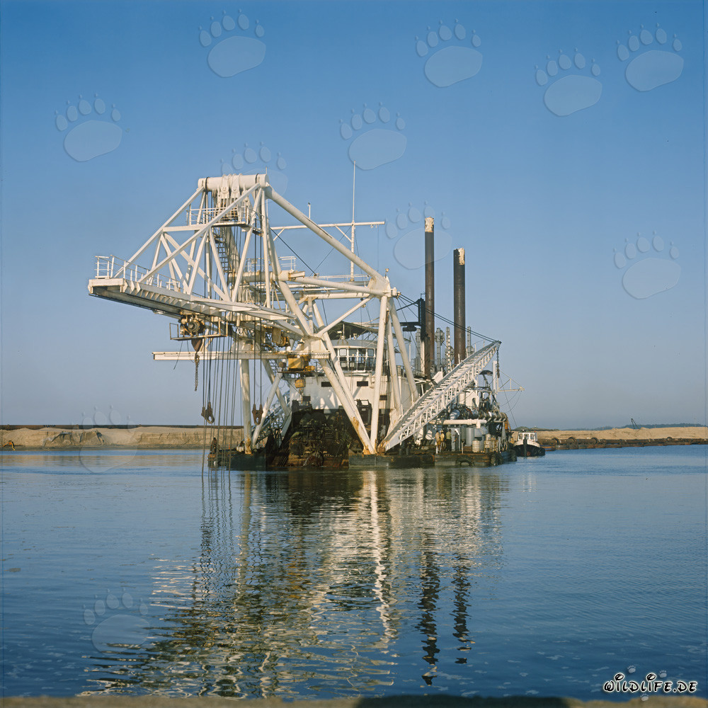 Schneidkopfspülbagger im Hafen Richards Bay, Natal, Südafrika