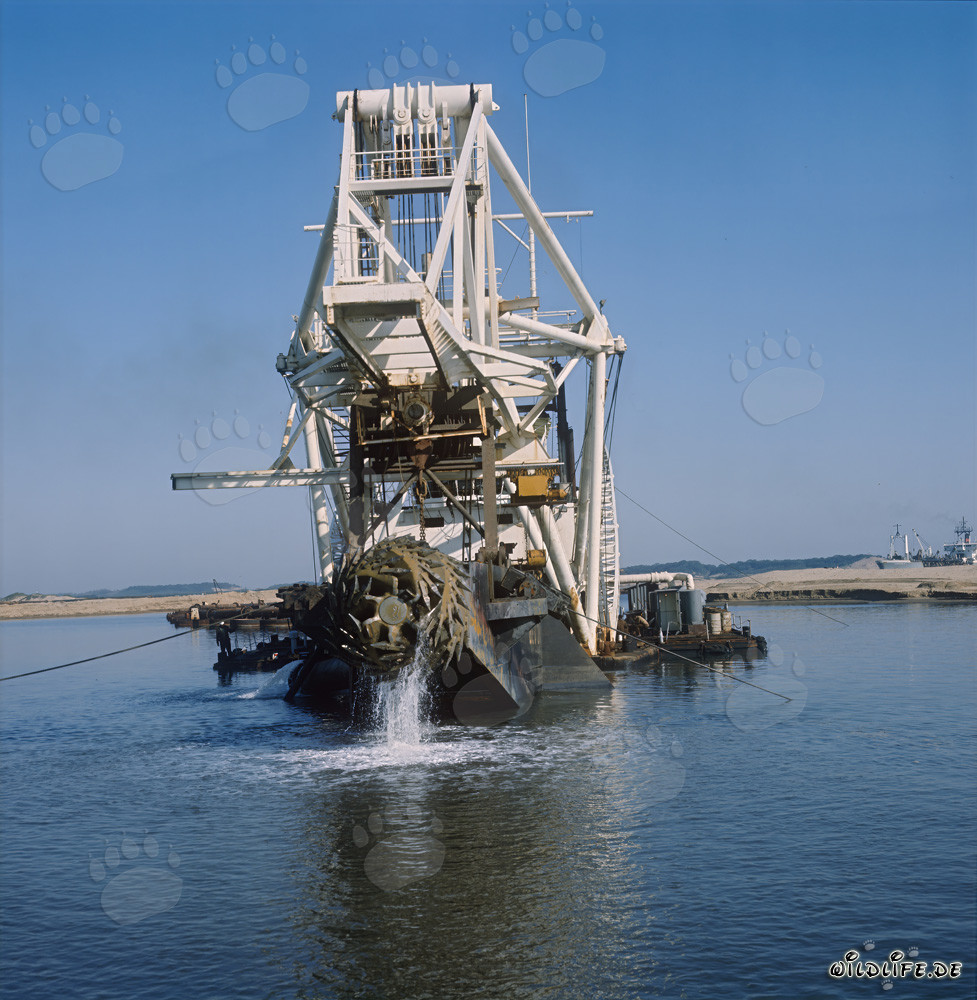 Cutter head on Cutter Suction Dredger Beverwijk 31 in Richards Bay, South Africa