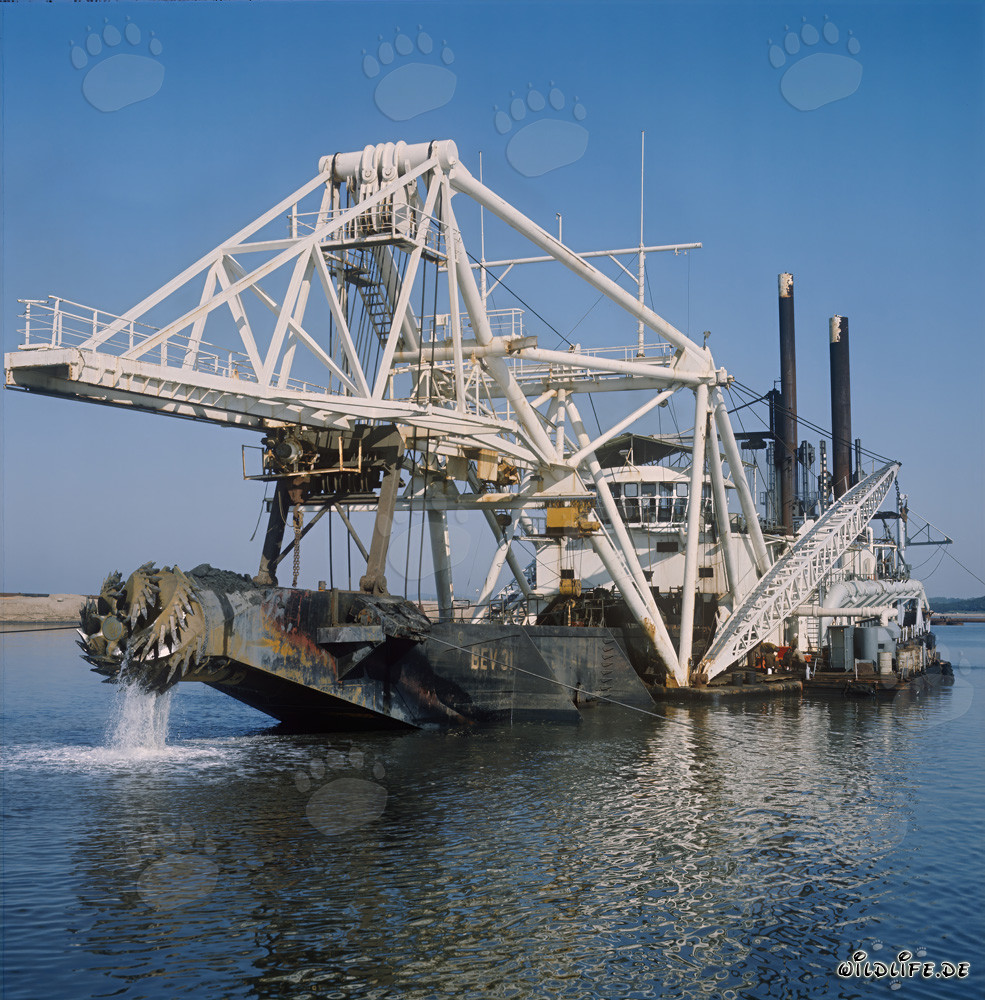Cutter suction dredger Beverwijk 31 in Richards Bay Harbour, South Africa