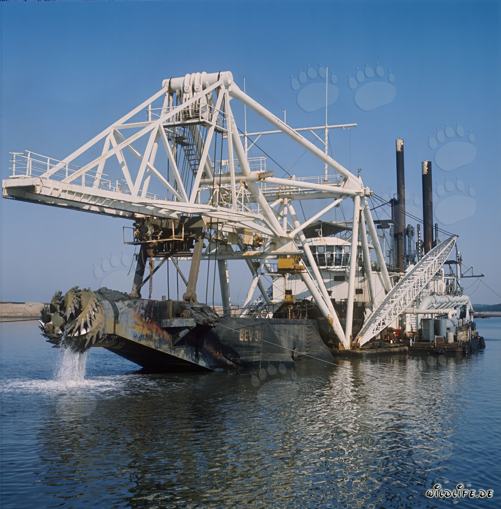 Draga de succión de cabeza de corte Beverwijk 31 en el puerto de Richards Bay, Sudáfrica
