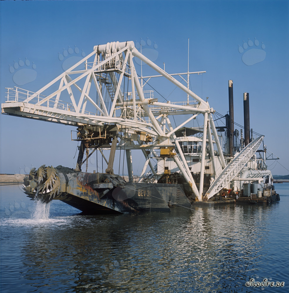 Schneidkopfspülbagger Beverwijk 31 in Richards Bay Hafen, Südafrika