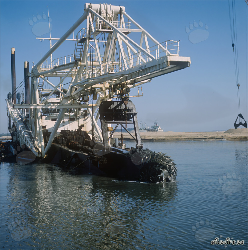 Cutter Suction Dredger at Dredging Operations in Richards Bay Harbour