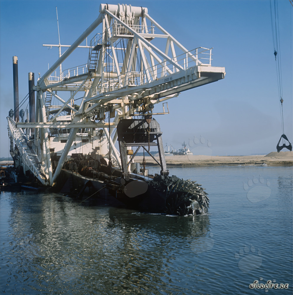 Draga a taglio con testa di taglio durante lavori di dragaggio umido nel porto di Richards Bay
