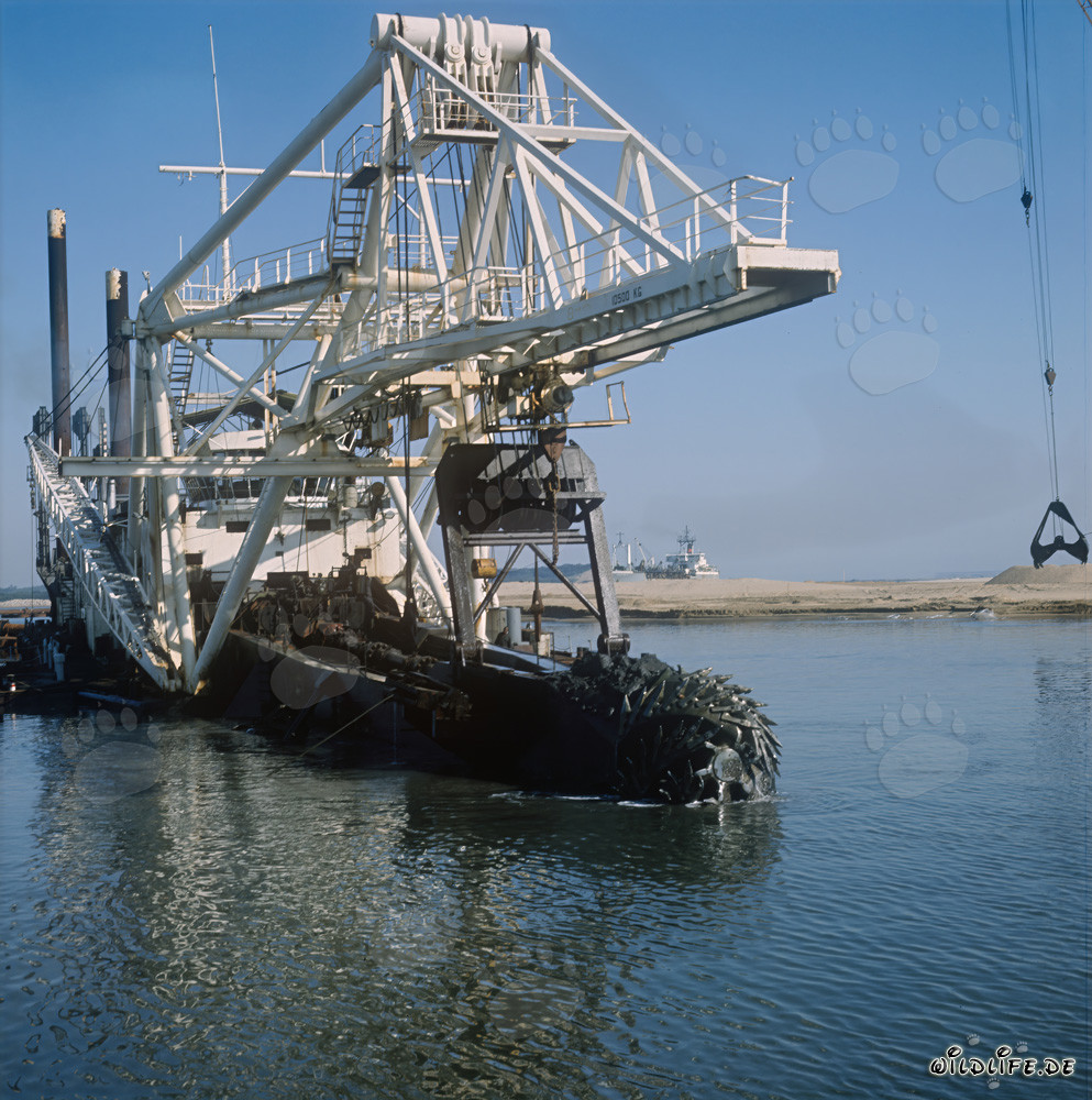 Schneidkopfspuelbagger bei Nassbaggerarbeiten in Richards Bay Hafen