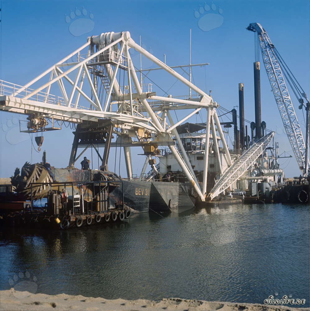 Cabezal de corte de una draga de succión en Richards Bay, Sudáfrica