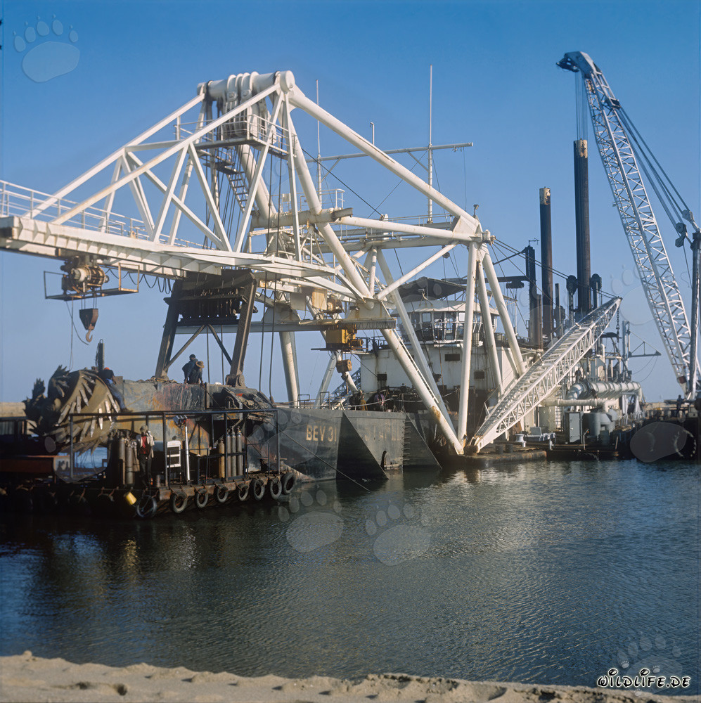 Cutter head of a cutter suction dredger in Richards Bay, South Africa
