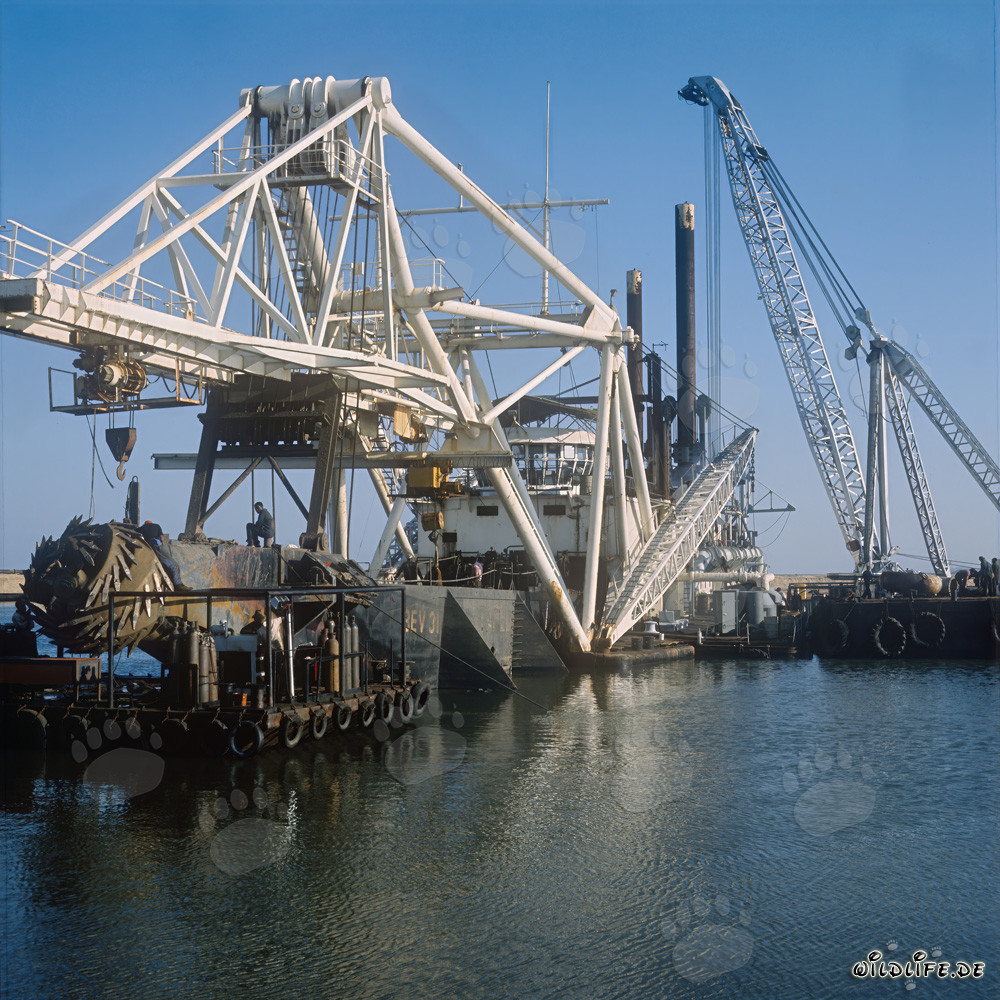 Dredging Operations in Richards Bay Harbor, Natal, South Africa - Cutter Suction Dredger Beverwijk 31