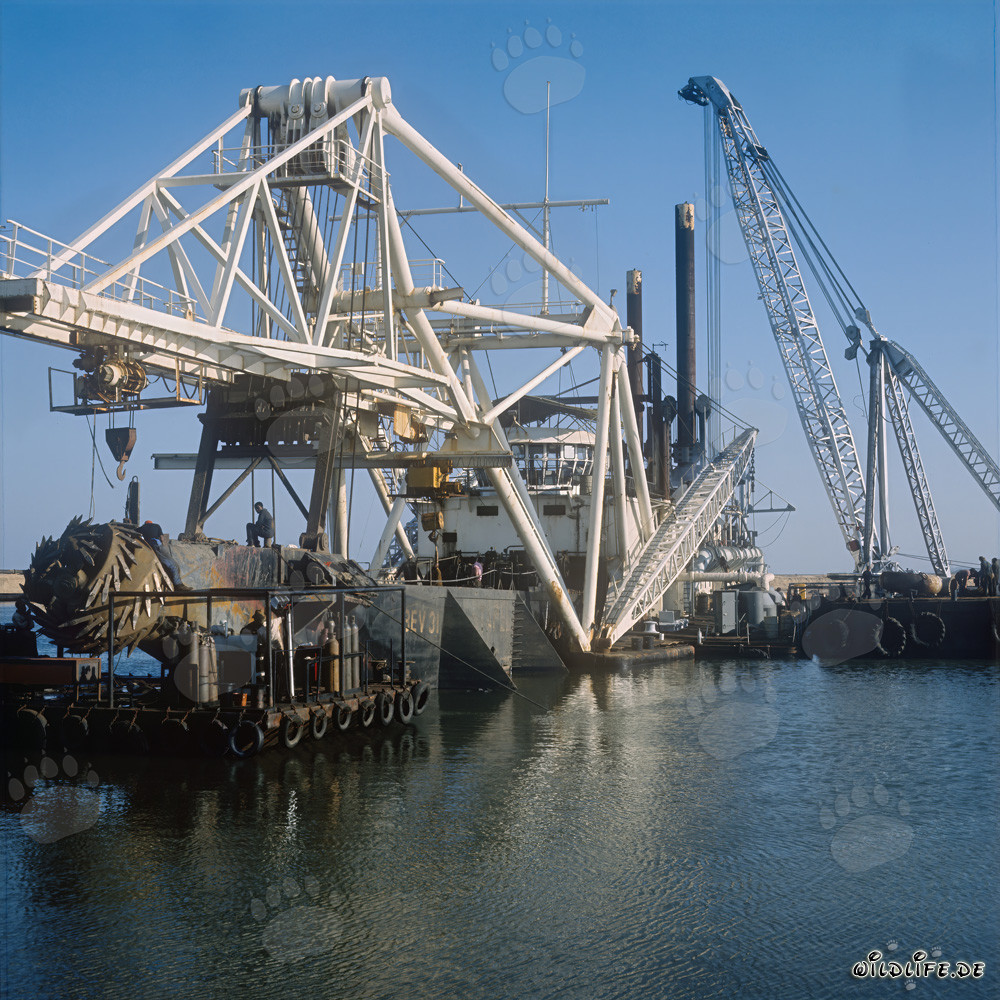 Trabajos de excavación en el puerto de Richards Bay, Natal, Sudáfrica - Dragado de corte de succión Beverwijk 31