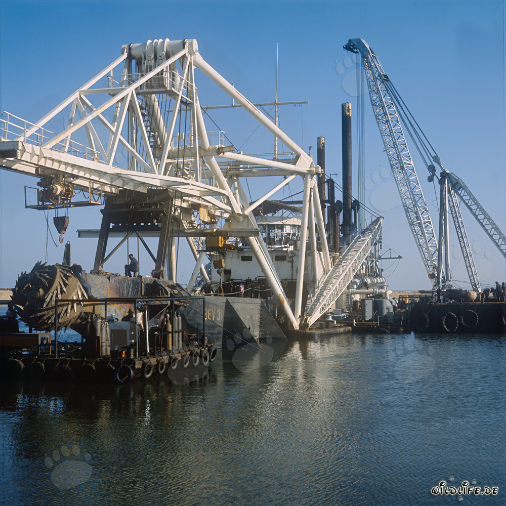 Lavori di scavo nel porto di Richards Bay, Natal, Sudafrica - Dragaggio a taglio aspirante Beverwijk 31