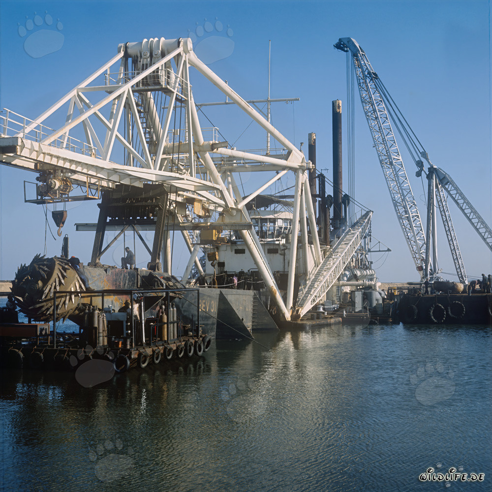 Baggerarbeiten im Hafen Richards Bay, Natal, Südafrika - Schneidkopfspülbagger Beverwijk 31