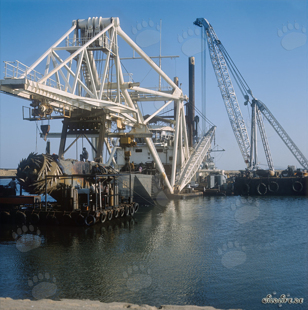 Testa di taglio di un dragatore a testa di taglio a Richards Bay, Sudafrica
