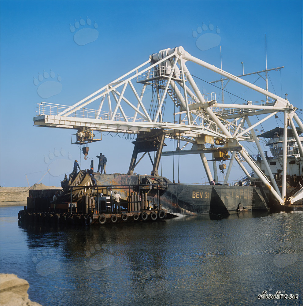 Trabajos de excavación en el puerto de Richards Bay: draga de succión de cabeza de corte Beverwijk 31