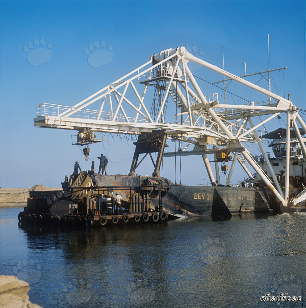 Travaux de dragage au port de Richards Bay : drague suceuse à tête de coupe Beverwijk 31