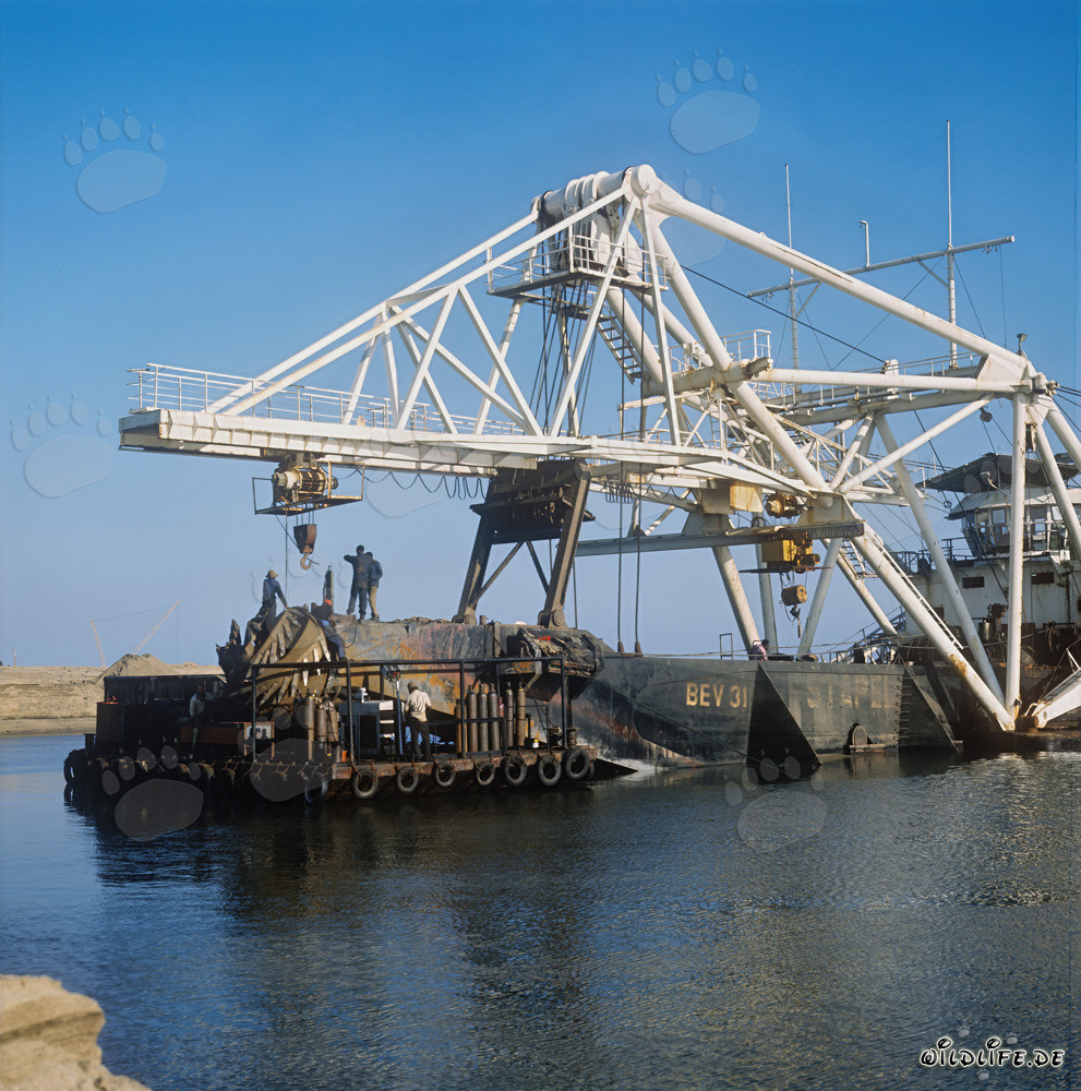 Baggerarbeiten im Hafen Richards Bay: Schneidkopfspuelbagger Beverwijk 31