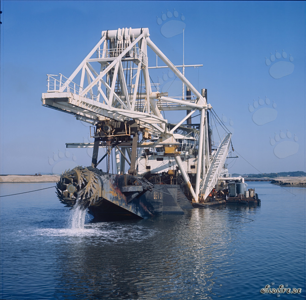 Cutterhead from Cutter Suction Dredger during Port Expansion in Richards Bay, Natal, South Africa