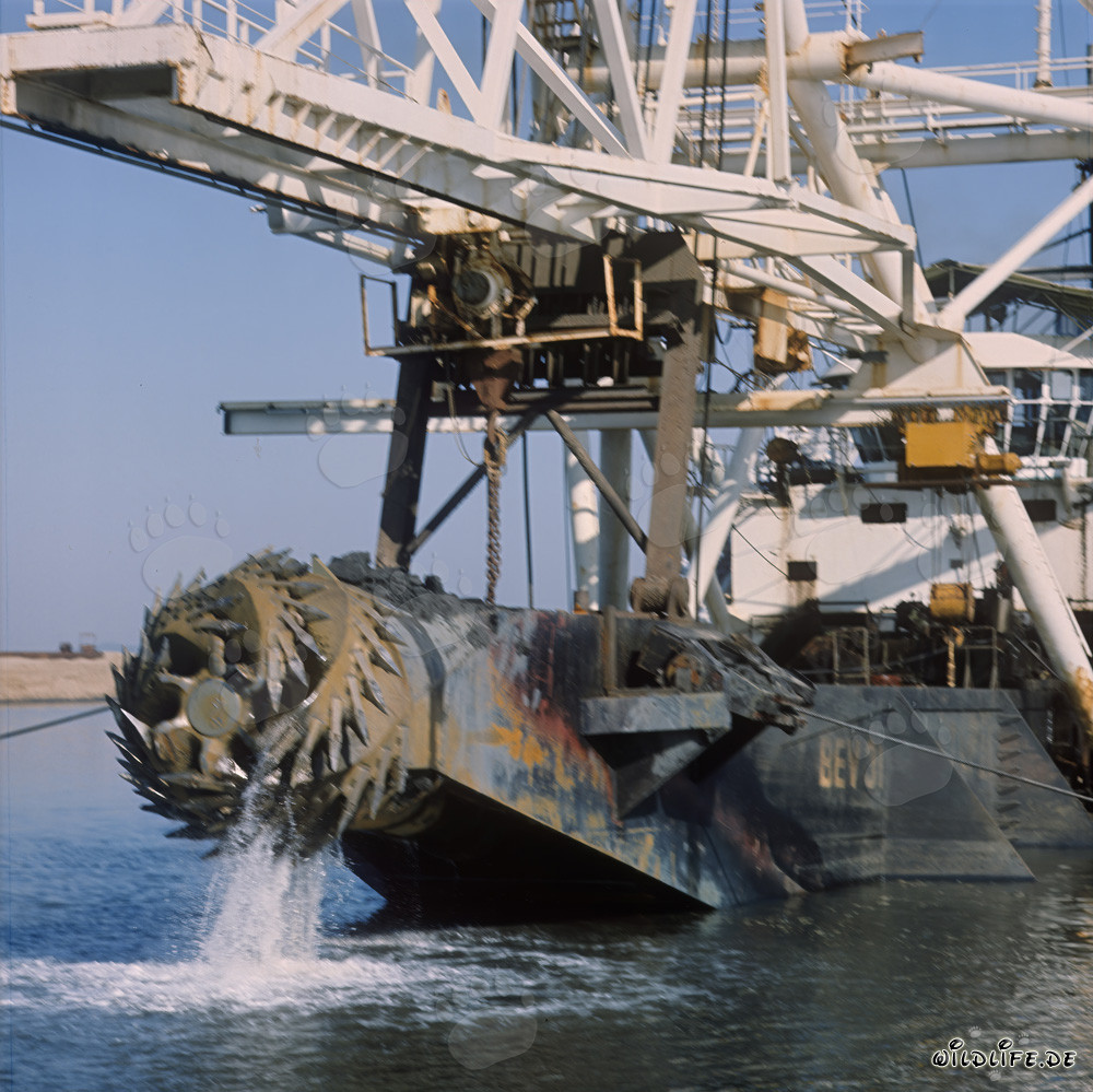 Drague suceuse à tête de coupe Beverwijk 31 dans le port de Richards Bay