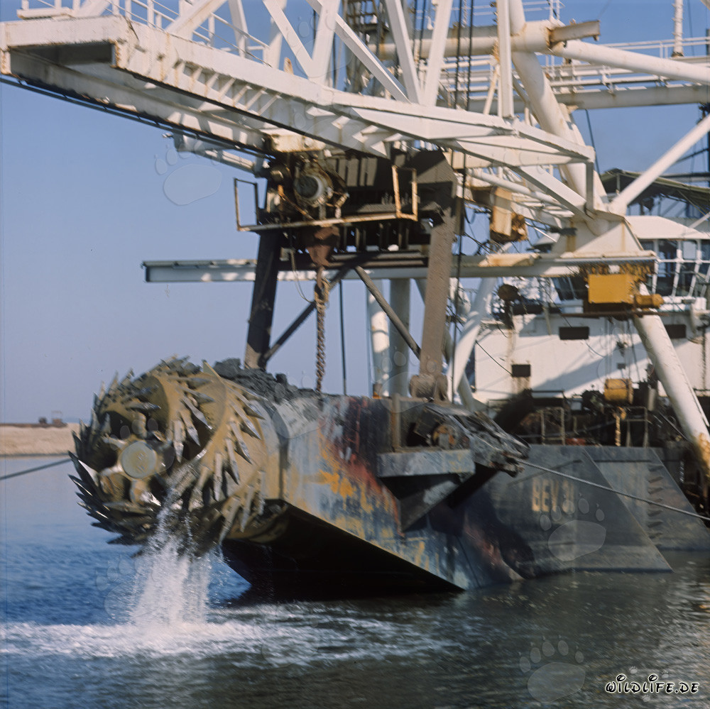 Schneidkopfspuelbagger Beverwijk 31 in Richards Bay Hafen