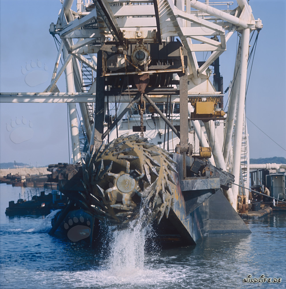 Cutting head of a Cutter Suction Dredger in Richards Bay, South Africa
