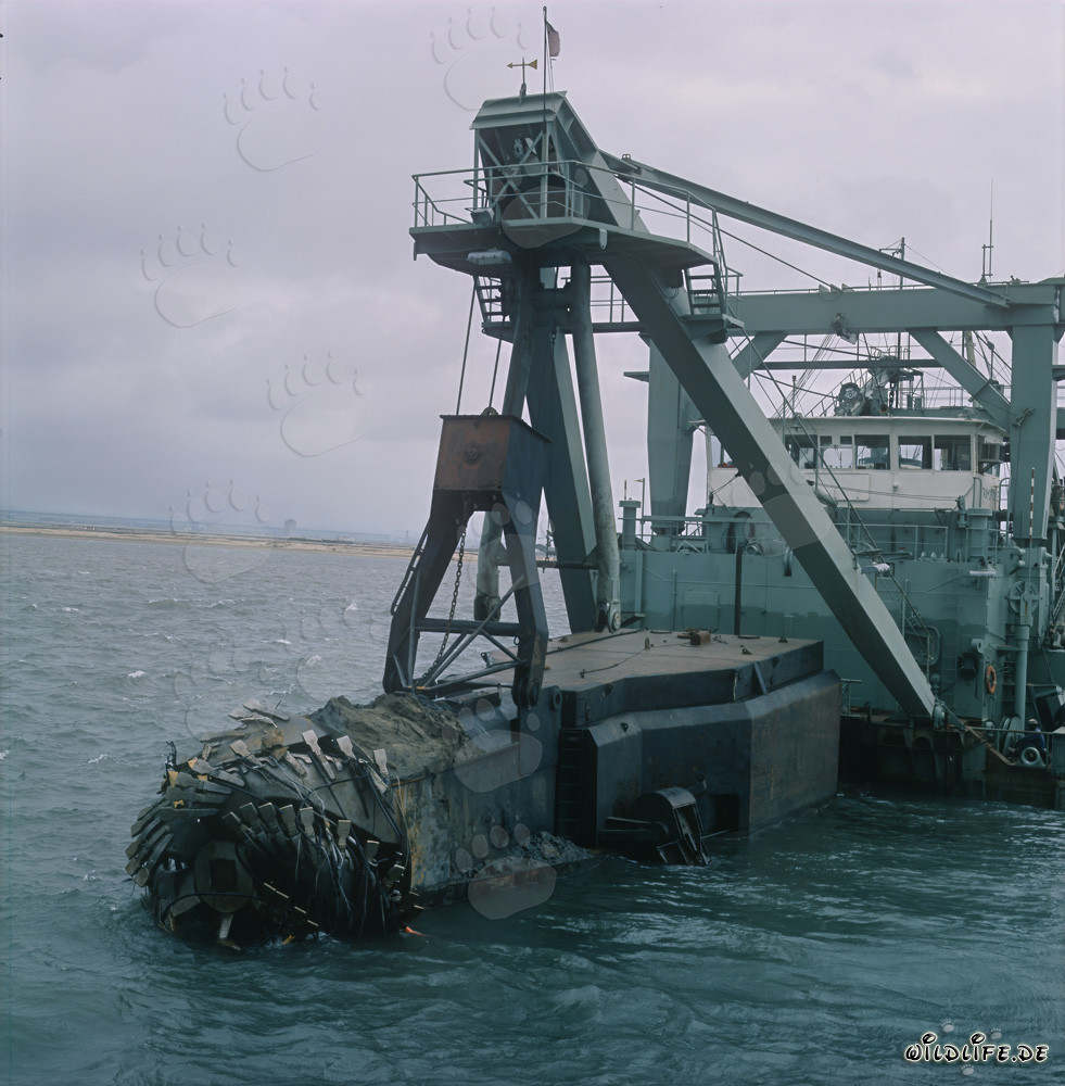 Impressive Cutter Suction Dredger at Richards Bay Harbor Construction