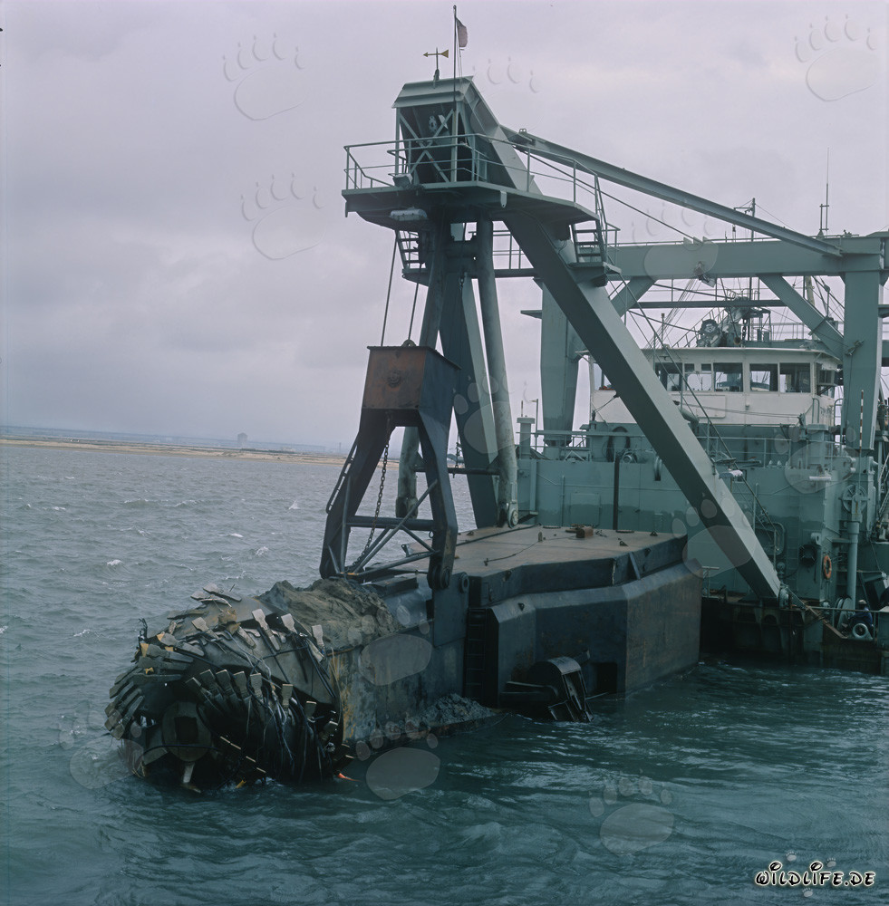 Draga excavadora con cabezal cortador impresionante en la construcción del puerto de Richards Bay