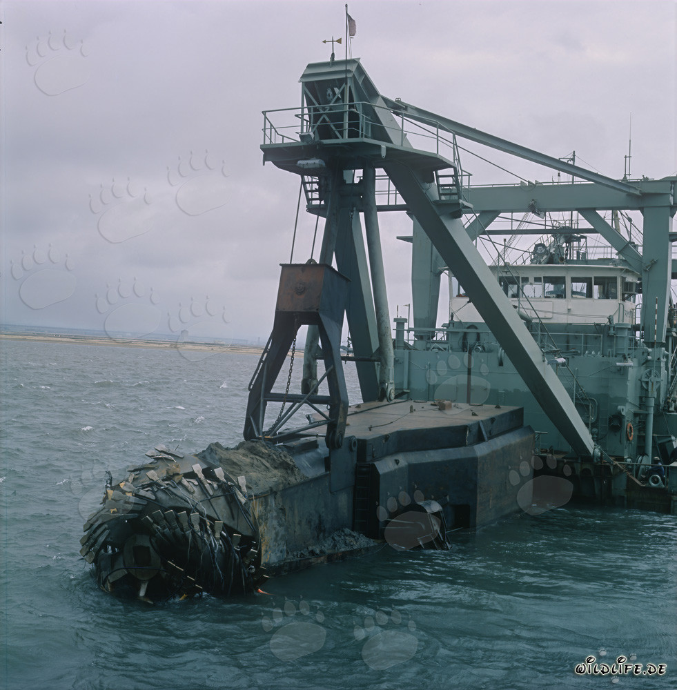 Dragueur suceur à tête de coupe imposant lors de la construction du port de Richards Bay